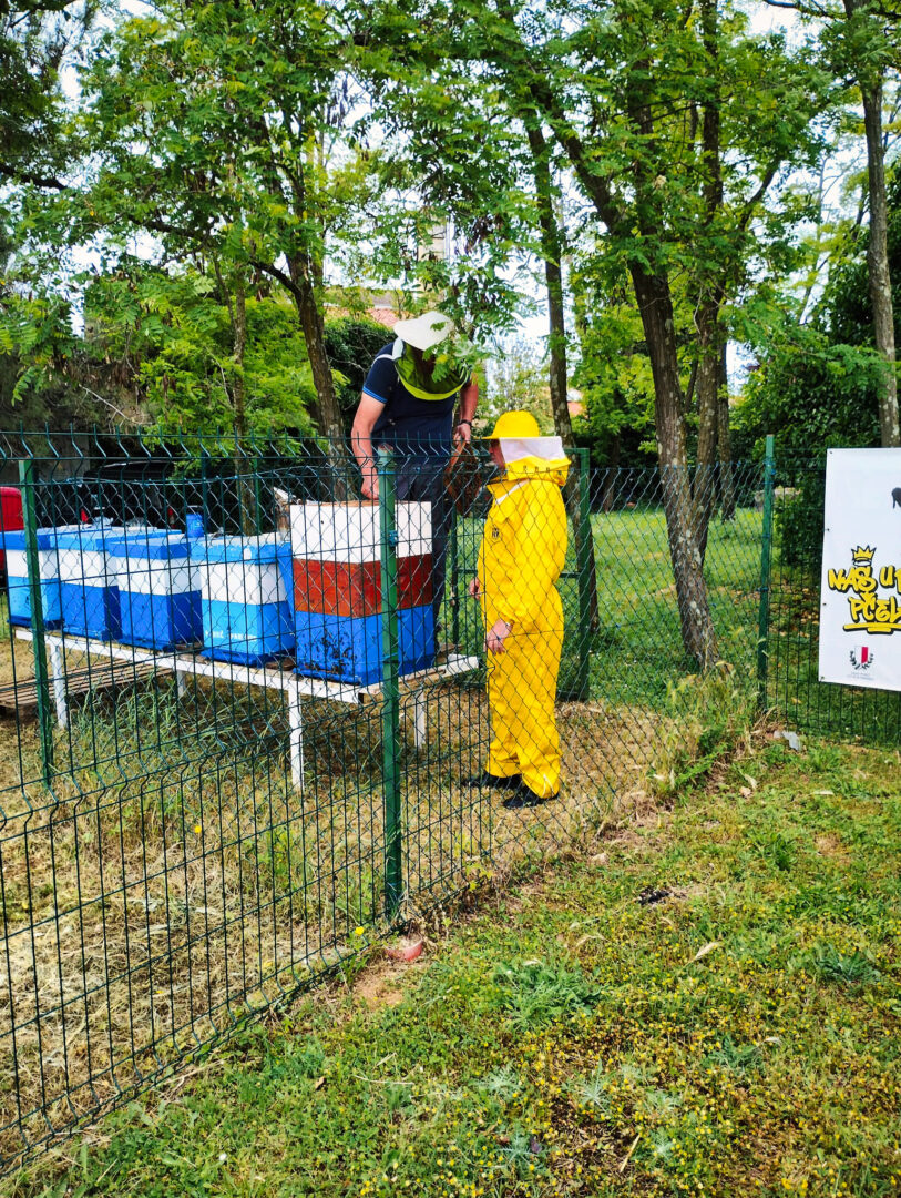 Pčelinjak