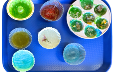 Izrada sapuna povodom Svjetskog dana čistih ruku