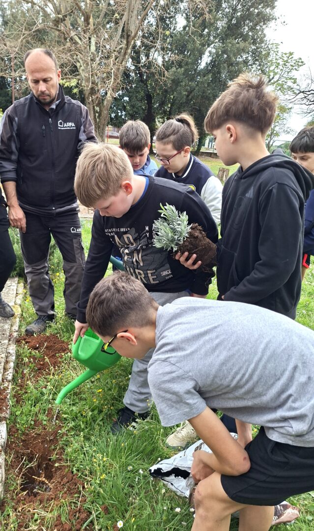 Medonosno bilje - 10