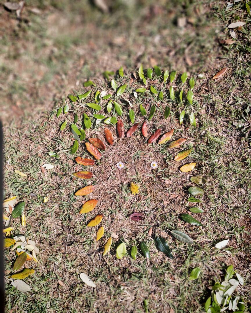 Land art - 4
