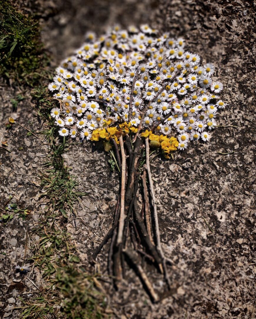 Land art - 5